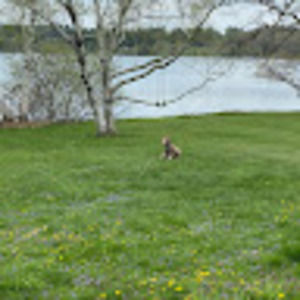 Meet your Posher, Lola